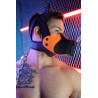 Breedwell Masque Poundtown Pup Breedwell Noir-Orange